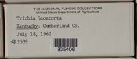 Image Associated With the Occurence